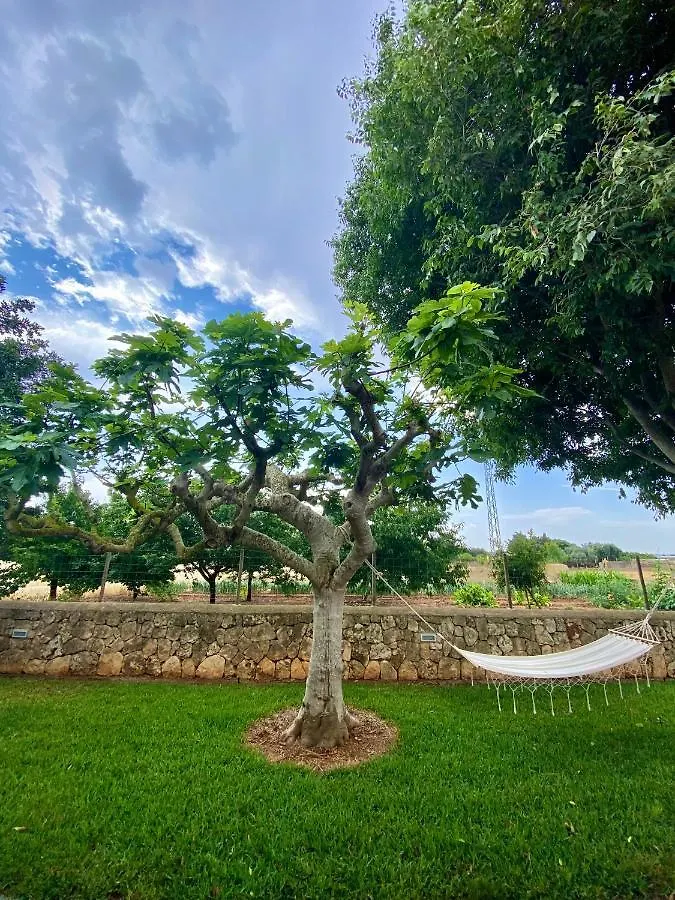 Βίλα Finca Amer Sa Pobla Ισπανία